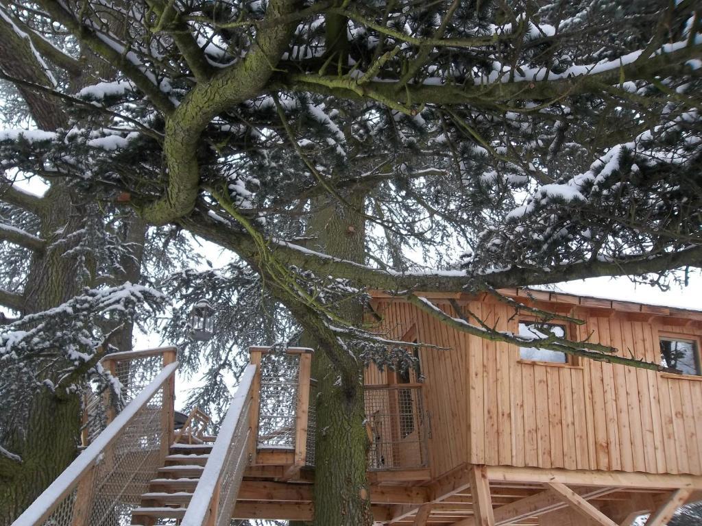 Domaine Des Grands Cedres Bed & Breakfast Cordelle Стая снимка